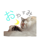 みるもとオレオ（個別スタンプ：7）
