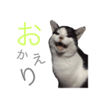 みるもとオレオ（個別スタンプ：9）