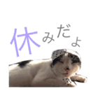 みるもとオレオ（個別スタンプ：13）