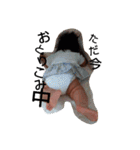 いちの色（個別スタンプ：5）