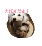 chakun2（個別スタンプ：3）