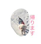 chakun2（個別スタンプ：6）