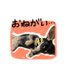 うちのムスメたち（個別スタンプ：9）
