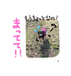 うちのムスメたち（個別スタンプ：12）
