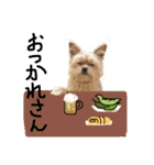 うちのムスメたち（個別スタンプ：14）