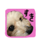うちのムスメたち（個別スタンプ：15）
