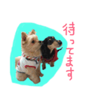うちのムスメたち（個別スタンプ：16）