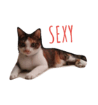 miao_miao（個別スタンプ：4）
