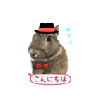 くうちゃん ＆ そらちゃん（個別スタンプ：1）