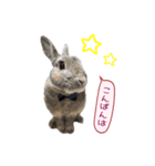くうちゃん ＆ そらちゃん（個別スタンプ：2）