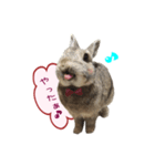 くうちゃん ＆ そらちゃん（個別スタンプ：4）