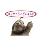 くうちゃん ＆ そらちゃん（個別スタンプ：5）