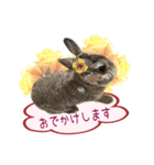 くうちゃん ＆ そらちゃん（個別スタンプ：8）