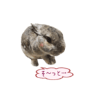 くうちゃん ＆ そらちゃん（個別スタンプ：16）