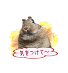 くうちゃん ＆ そらちゃん（個別スタンプ：32）