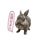 くうちゃん ＆ そらちゃん（個別スタンプ：33）