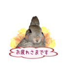 くうちゃん ＆ そらちゃん（個別スタンプ：38）