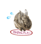 くうちゃん ＆ そらちゃん（個別スタンプ：40）