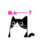 白黒ハチワレたん（個別スタンプ：1）
