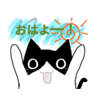 白黒ハチワレたん（個別スタンプ：8）