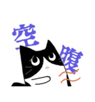 白黒ハチワレたん（個別スタンプ：13）
