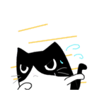 白黒ハチワレたん（個別スタンプ：14）