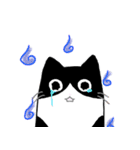 白黒ハチワレたん（個別スタンプ：19）