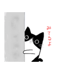 白黒ハチワレたん（個別スタンプ：23）