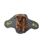 momochiyan（個別スタンプ：3）