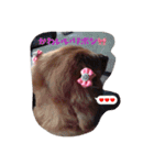 momochiyan（個別スタンプ：8）