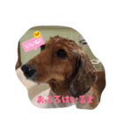 momochiyan（個別スタンプ：10）