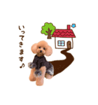 トイプードル ねねちゃん 1（個別スタンプ：3）