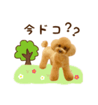 トイプードル ねねちゃん 1（個別スタンプ：18）