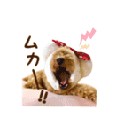 トイプードル ねねちゃん 1（個別スタンプ：25）