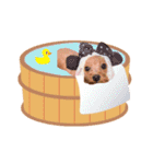 トイプードル ねねちゃん 1（個別スタンプ：36）