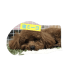 可愛い可愛い可愛い可愛い可愛い（個別スタンプ：1）