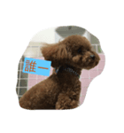 可愛い可愛い可愛い可愛い可愛い（個別スタンプ：2）