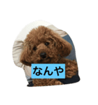 可愛い可愛い可愛い可愛い可愛い（個別スタンプ：3）