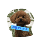 可愛い可愛い可愛い可愛い可愛い（個別スタンプ：4）