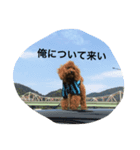 可愛い可愛い可愛い可愛い可愛い（個別スタンプ：6）