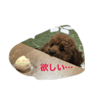 可愛い可愛い可愛い可愛い可愛い（個別スタンプ：7）