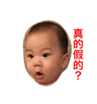 TERRYBABY（個別スタンプ：4）