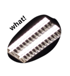 neon lampzzzzzz（個別スタンプ：7）
