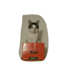 CAT Kiwi chill（個別スタンプ：7）
