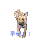 My Minnie DOG Baby（個別スタンプ：3）