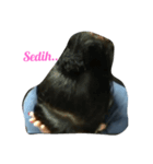 MMI joss（個別スタンプ：8）