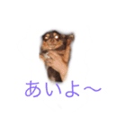 くぅちゃんとココちゃん1（個別スタンプ：4）