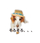くぅちゃんとココちゃん1（個別スタンプ：6）