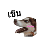 SillyDog（個別スタンプ：23）
