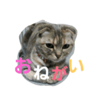 ♡ろっちゃん♡（個別スタンプ：7）